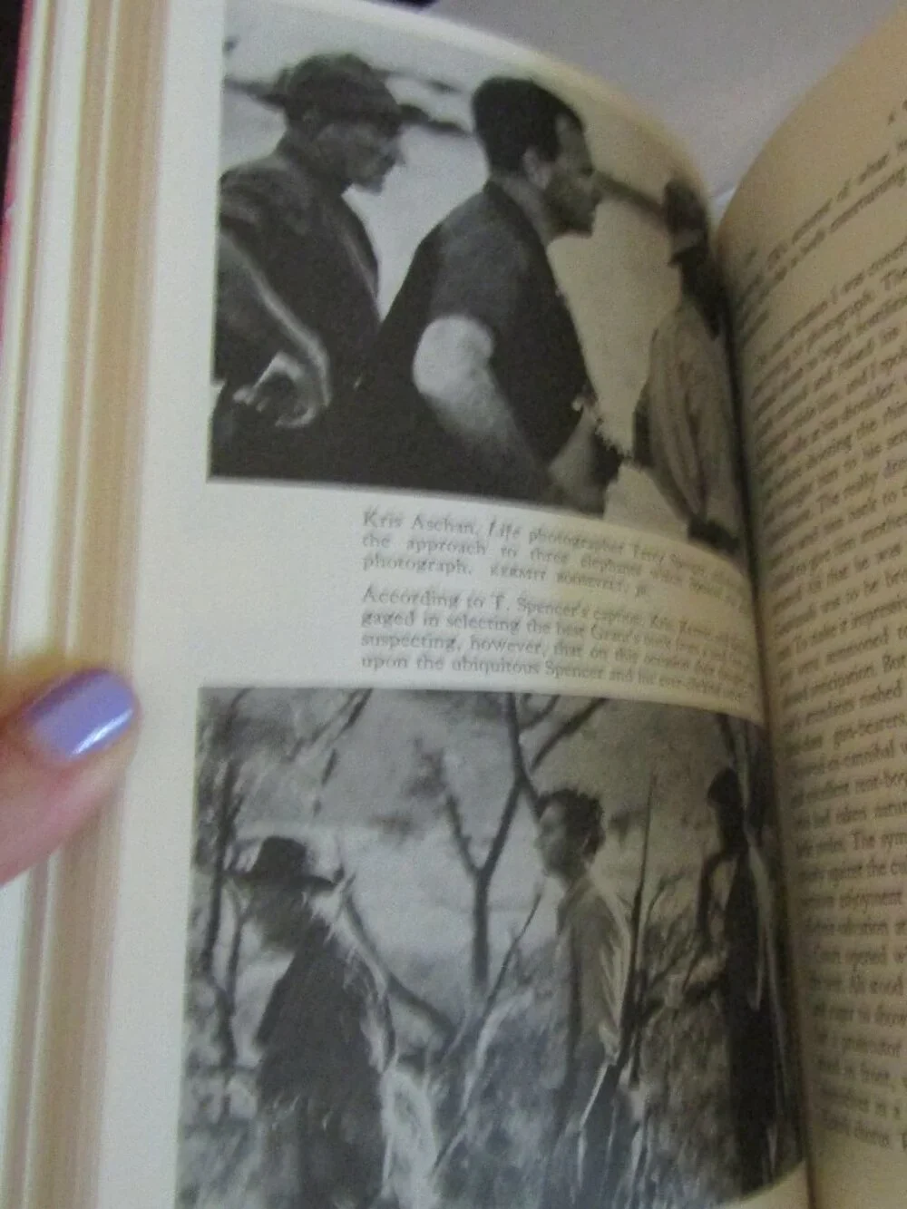 Theodore Roosevelt Hunting Book MINT A SENTIMENTAL SAFARI